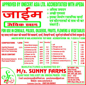 hill gold zyme by sunny farms una himachal